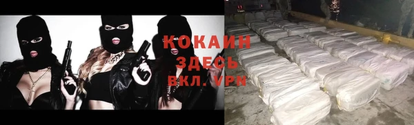 прущий лед Инсар