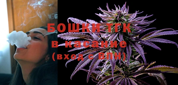 прущий лед Инсар