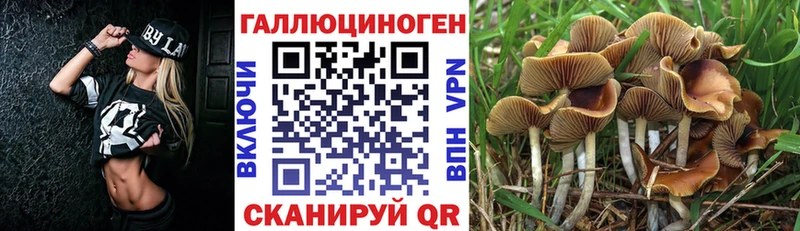 Галлюциногенные грибы мицелий  Купить где  Морозовск 